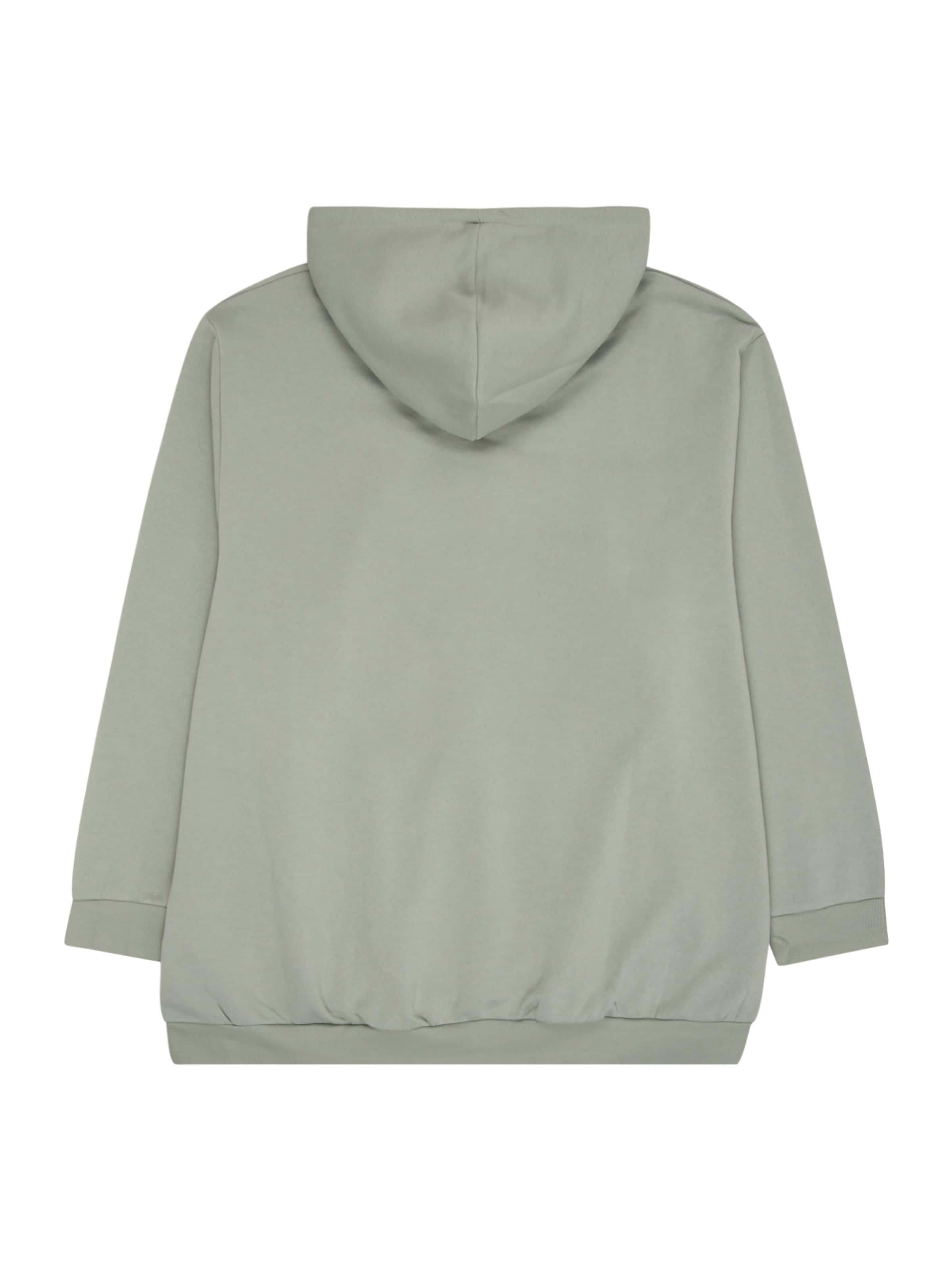 Jack & Jones Plus Sweatshirt 'JJEBradley' i grön