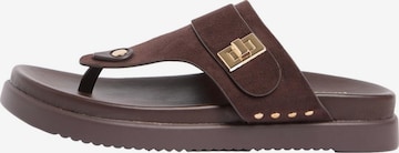 Tongs Friends Like These en marron : devant