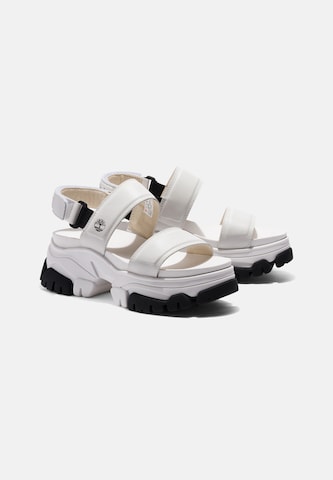 TIMBERLAND Sandal 'Adley Way' i vit