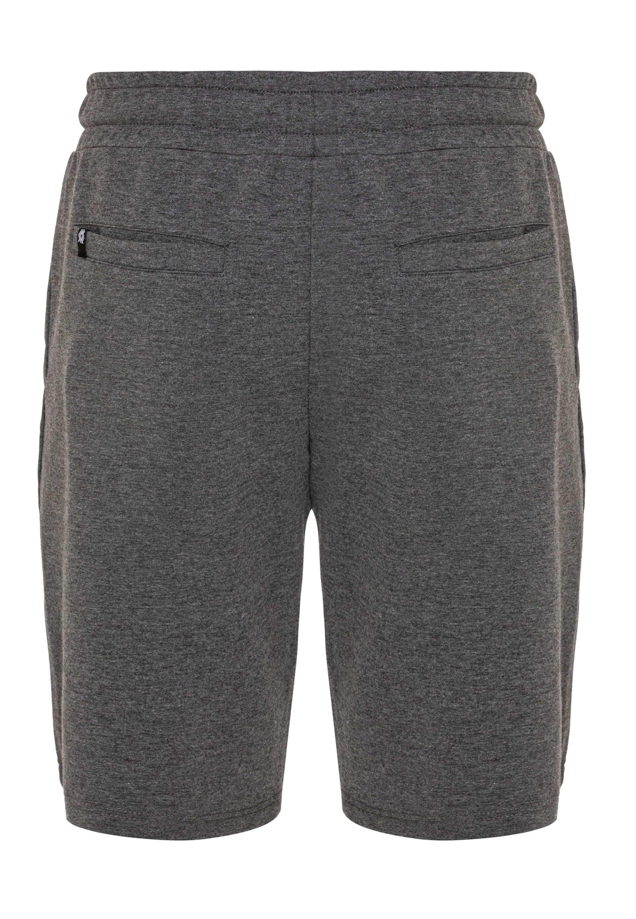 CIPO & BAXX Regular Broek in Grijs