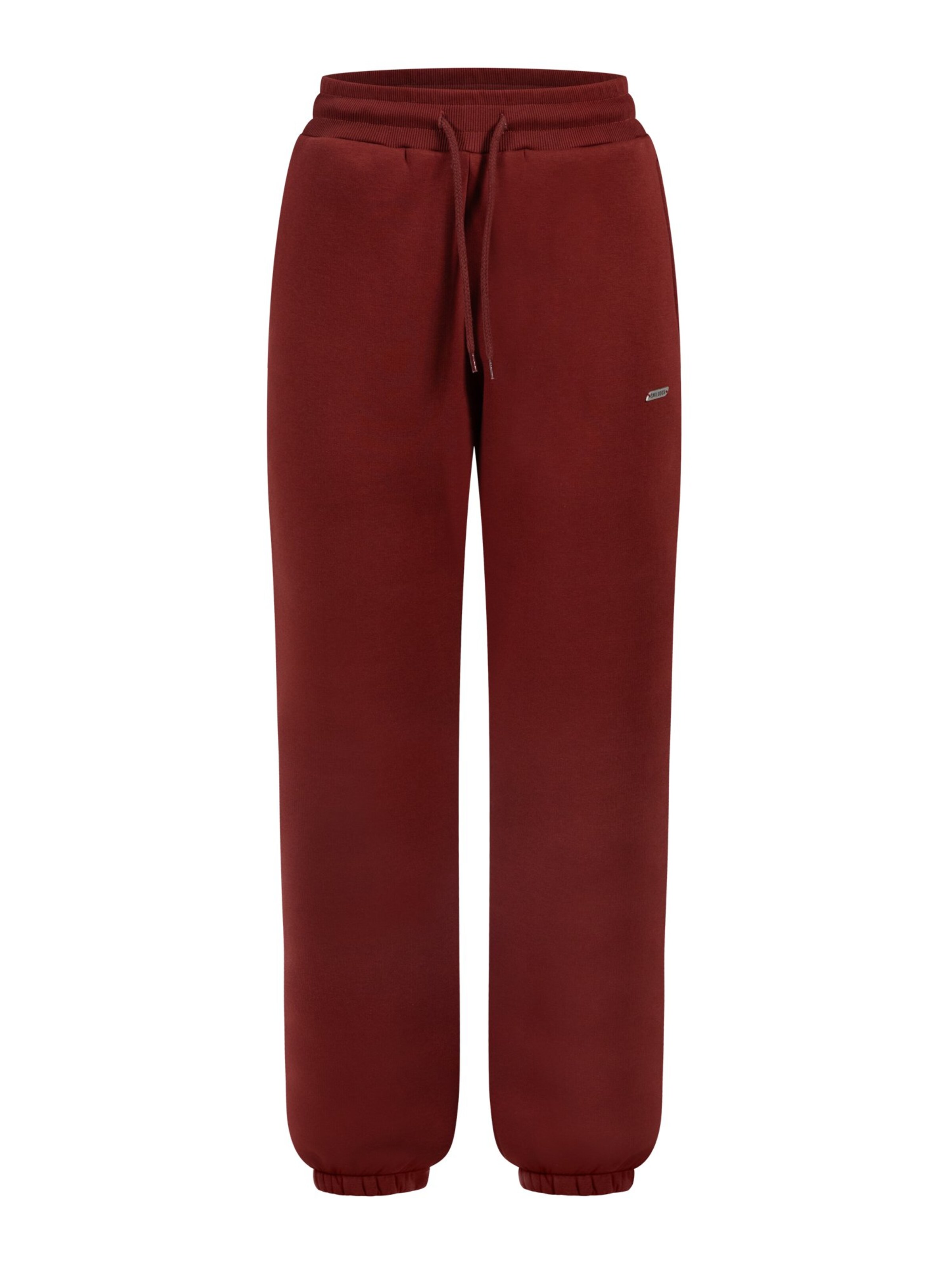 Smilodox Trousers in Brown: front