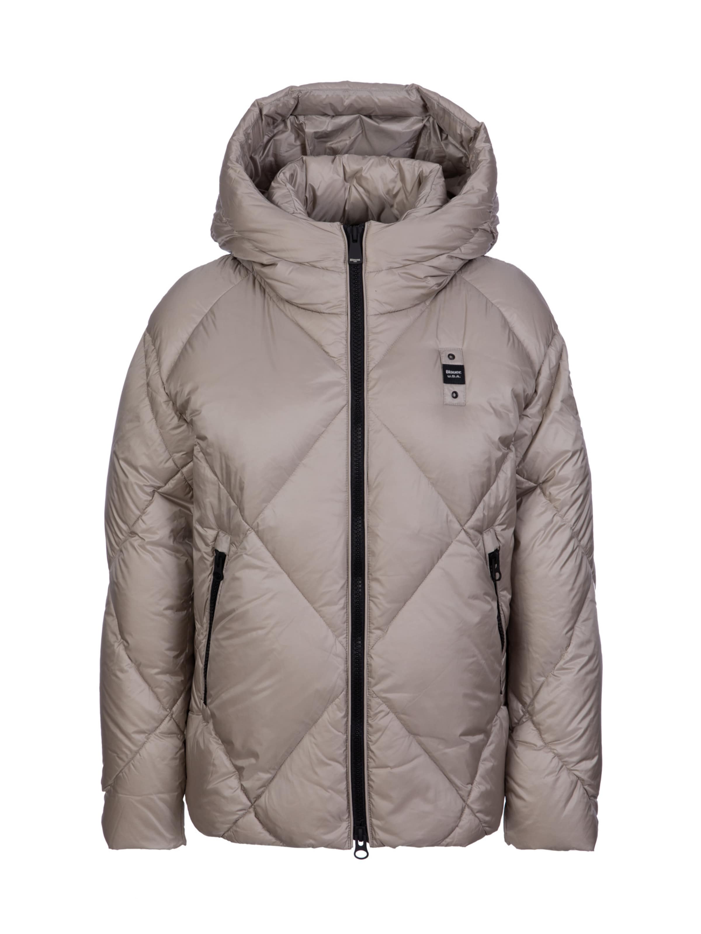 Giacca invernale 'Lamartine' di Blauer.USA in beige: frontale