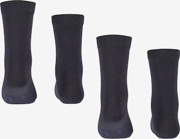 FALKE Socks in Grey