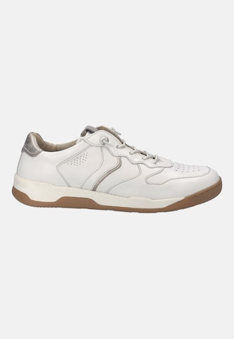 JOSEF SEIBEL High-top trainers in White