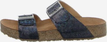 HAFLINGER Mules in Blue