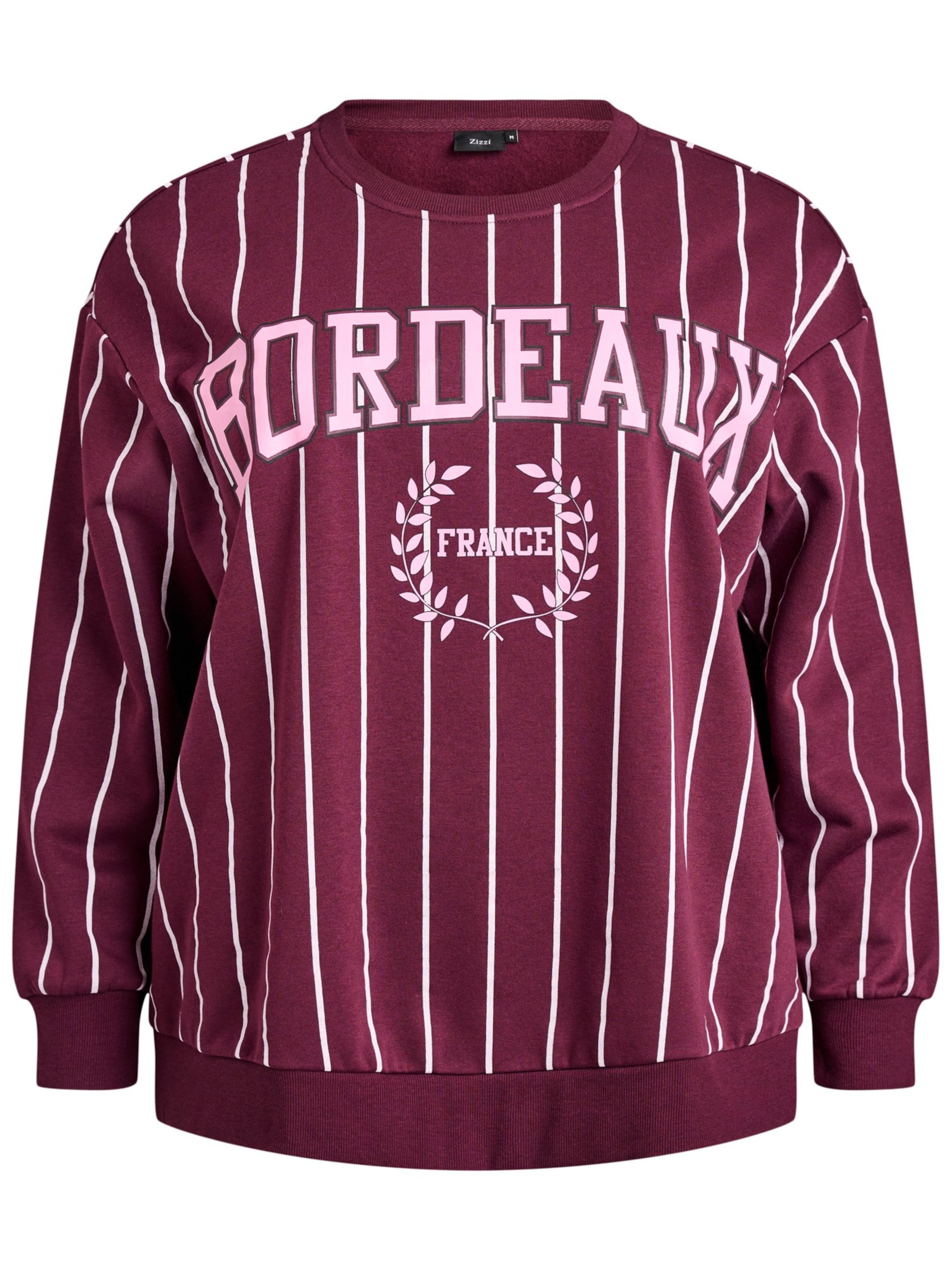 Active by Zizzi Свитшот в Бордовый / Белый, Обзор товара