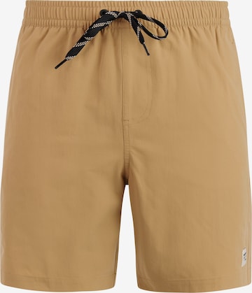 PROTEST Badeshorts 'PRTBAKY' in Braun: Vorderseite