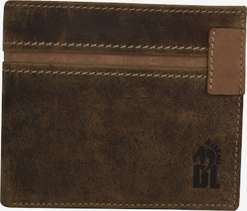 Porte-monnaies DrachenLeder en marron : devant