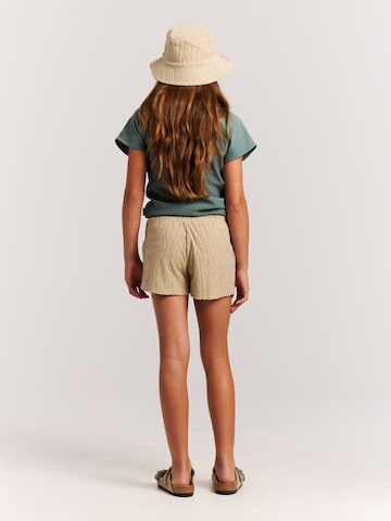 PROTEST Regular Pants 'PRTThinka JR' in Brown
