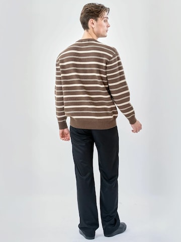 TEESHOPPEN Trui ' Striped ' in Bruin: terug