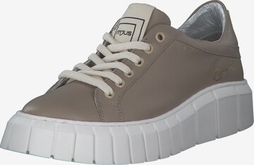 MJUS Sneakers 'P67101' in Brown: front