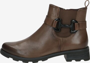 Bottines CAPRICE en marron