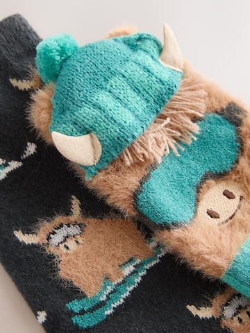 Chaussettes Next en mélange de couleurs