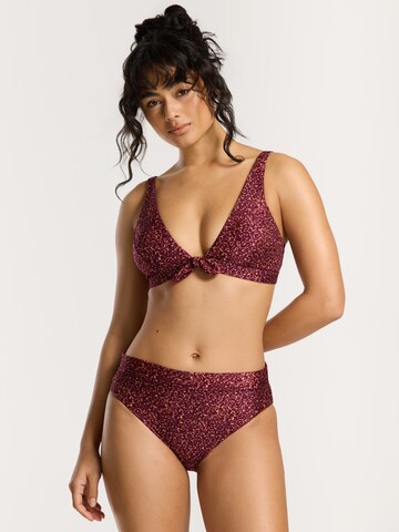 Shiwi Triangle Bikini 'Teddy' in Purple: front