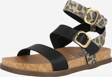 juoda Blowfish Malibu Basutės su dirželiais 'LAWSON': priekis