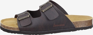 DR. BRINKMANN Mules 'Bonillo' in Brown: front