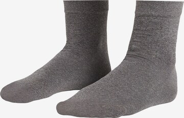 CALZEDONIA Socken in Grau: predná strana