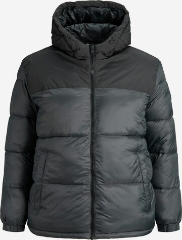 Veste d’hiver Jack & Jones Plus en gris : devant