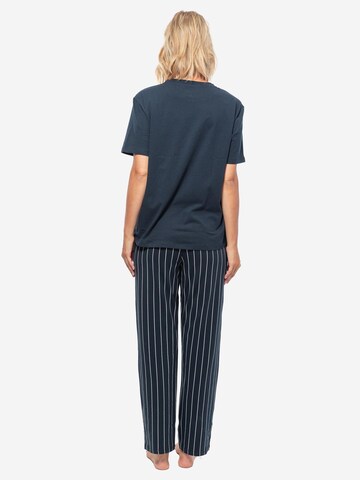 SCHIESSER Pajama 'Cotton' in Blue