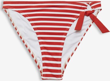 Esprit Bodywear Bikini Bottoms in Red: front