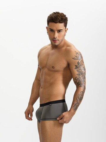 BIMONI Boxershorts 'Dünn' in Grau: Vorderseite