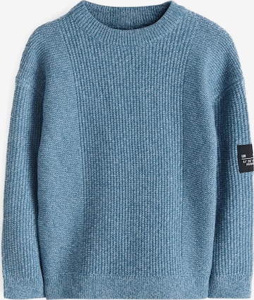 mėlyna Next Megztinis: priekis