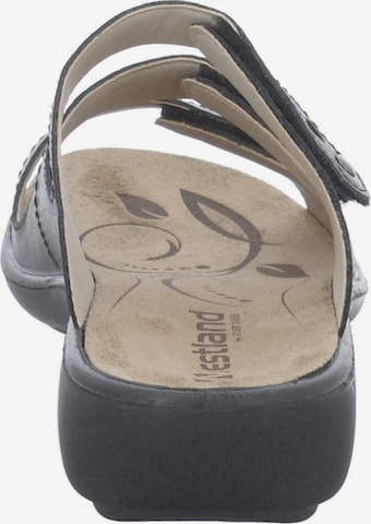 Westland Sandals 'IBIZA 66' in Grey