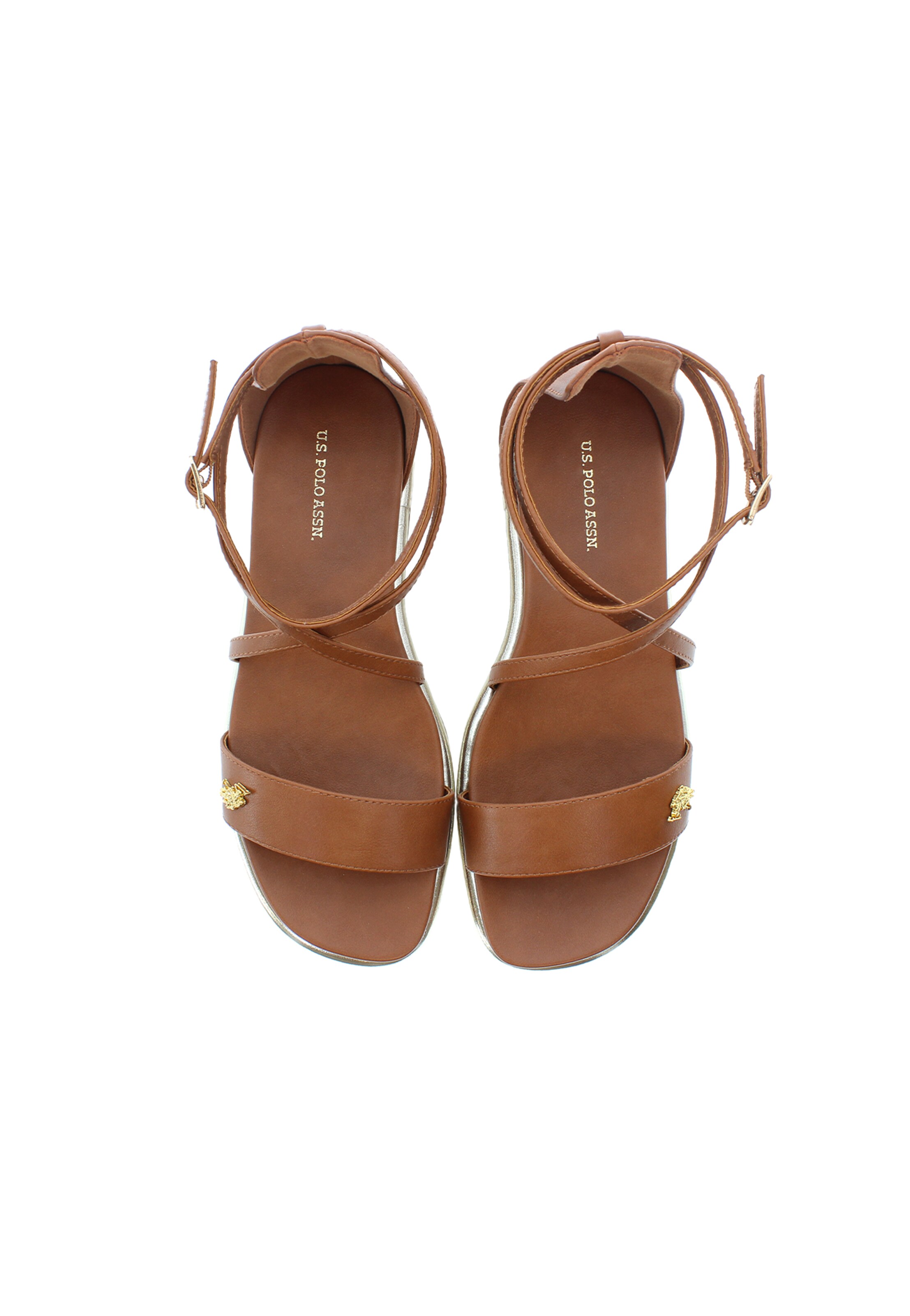 U.S. POLO ASSN. Sandal in Brown