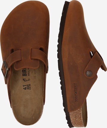 BIRKENSTOCK Zoccoletto 'Boston Leoi' in Cognac ABOUT YOU