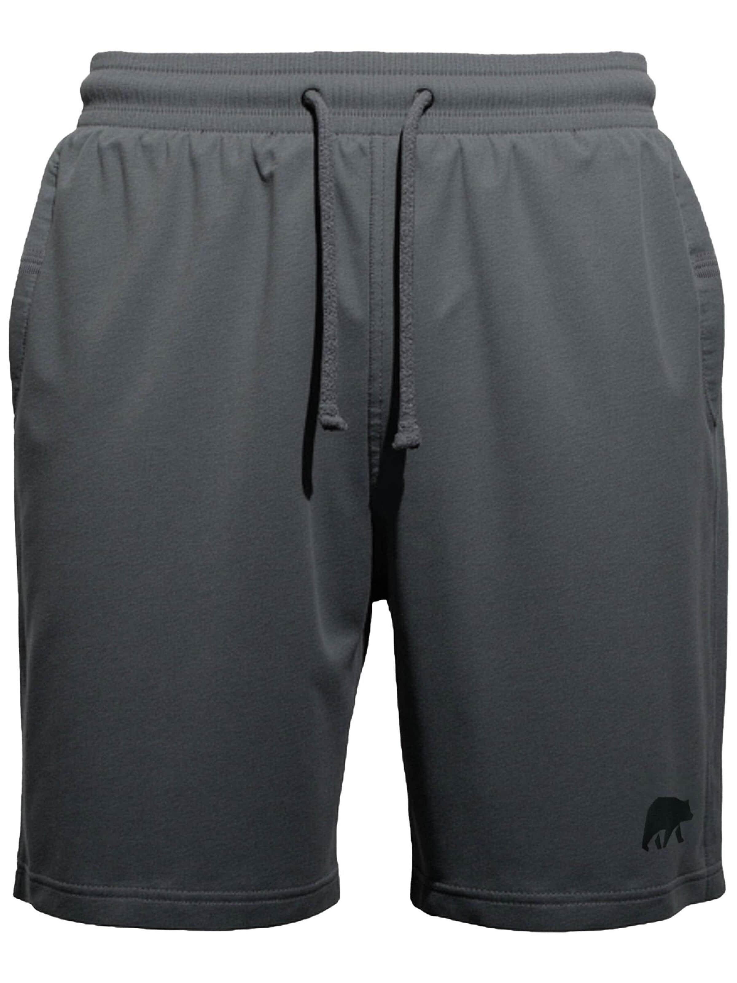 FORSBERG Regular Pants 'Jogger Shorts' in Grey: front