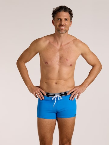 wavebreaker Swim Trunks in Blue: front