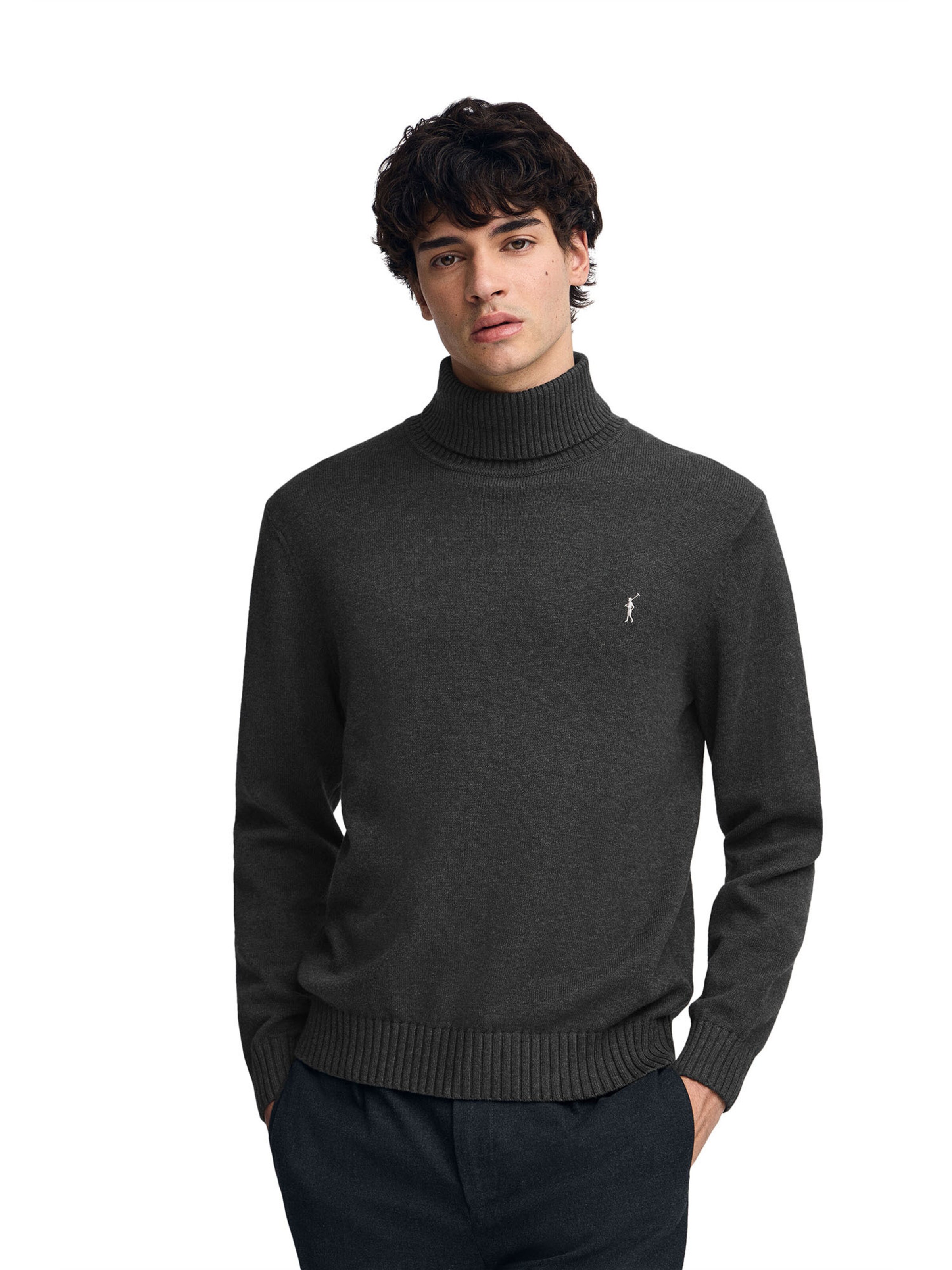 Polo Club Sweater in Grey: front