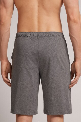 INTIMISSIMI Regular Shorts in Grau