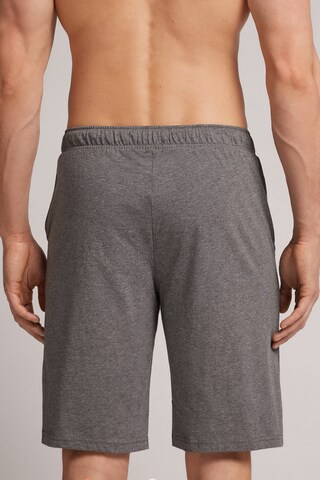 INTIMISSIMI Regular Pants in Grey