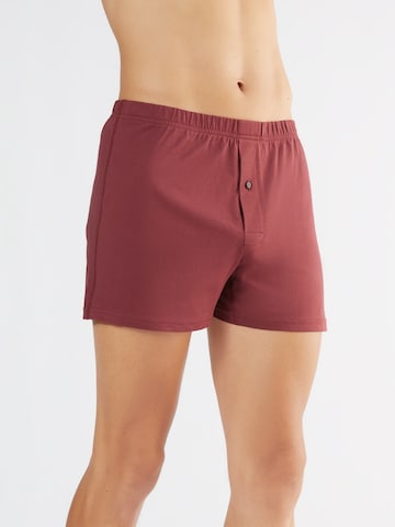 Albero Natur Boxershorts in Rot: Vorderseite