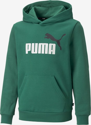 PUMA - Sweatshirt em verde: frente