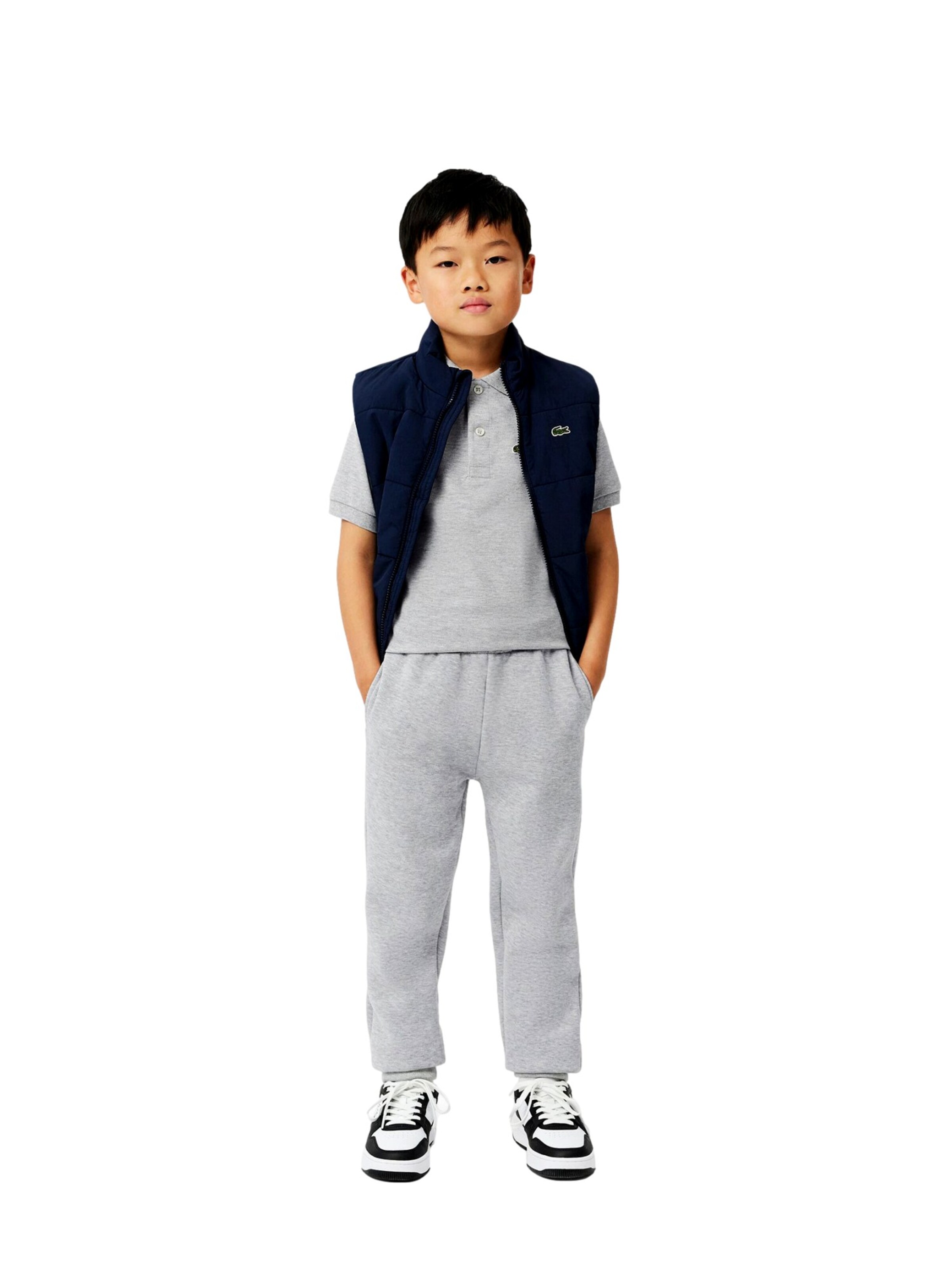 LACOSTE regular Bukser i grå