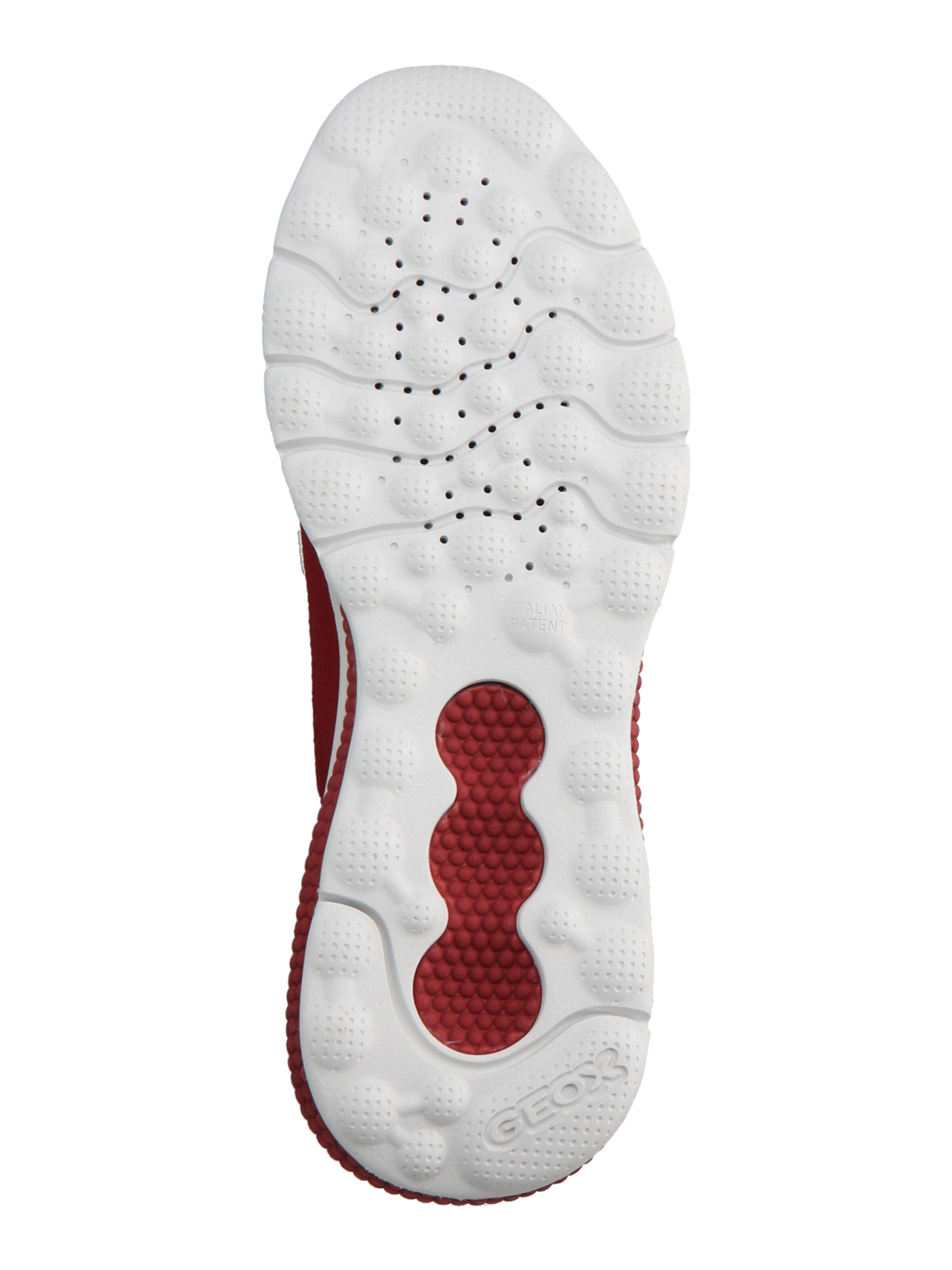 Sneaker bassa di GEOX in rosso