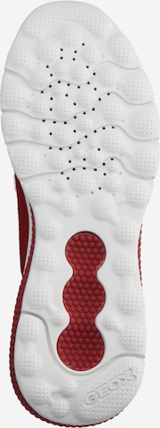 GEOX - Zapatillas deportivas bajas en rojo