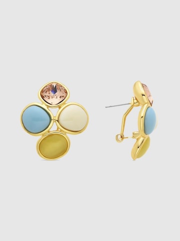 LUXBYLUX Earrings in Mixed colors: front