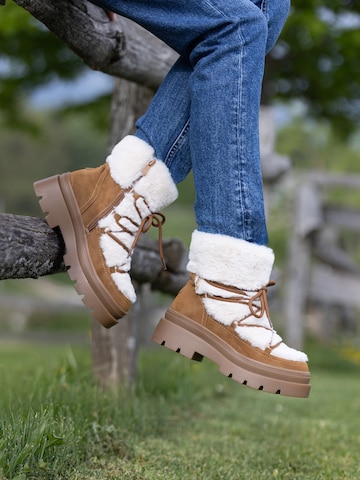Bottines à lacets 'Shona' US POLO ASSN. en marron
