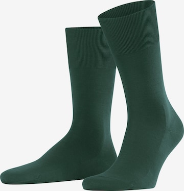 FALKE Socken 'ClimaWool' in Grün: Vorderseite