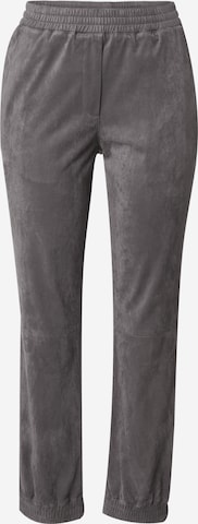 Someday Tapered Pants in Grey: front