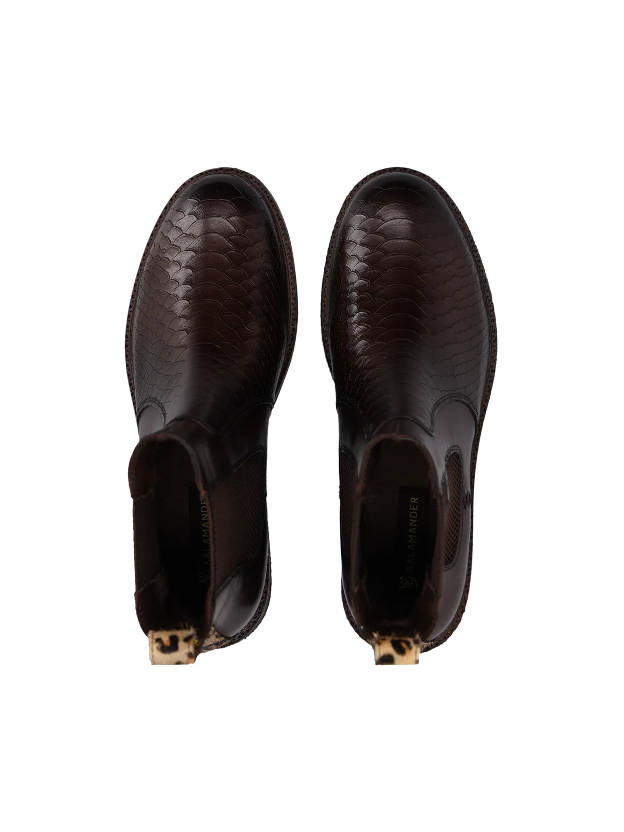 Boots chelsea di SALAMANDER in marrone