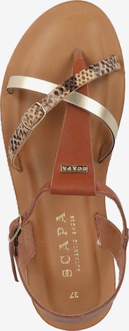 SCAPA T-Bar Sandals in Brown