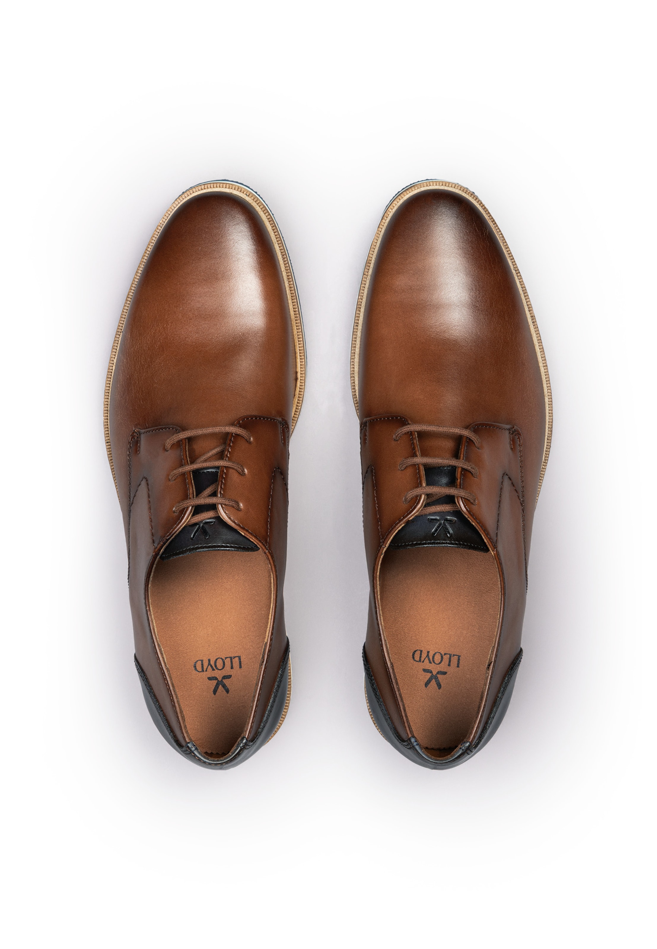 LLOYD Lace-up shoe 'ALTON' in Brown