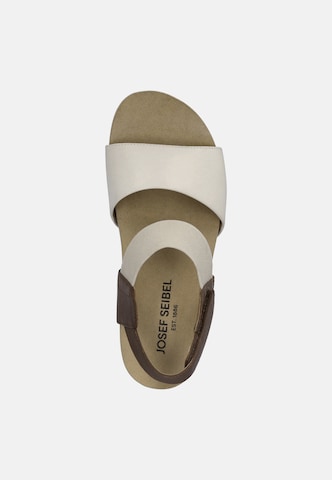 JOSEF SEIBEL Sandaal 'Quinn 09' in Beige