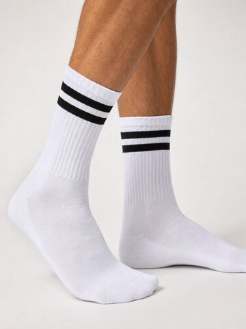 sockenkauf24 Athletic Socks in White