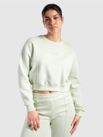 Sweat-shirt 'Siana' Smilodox en vert : devant