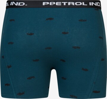 Petrol Industries Boxer shorts 'Nashville' in Green